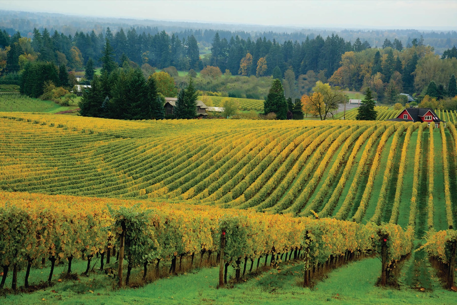 Why McMinnville is Oregon's Hidden Gem