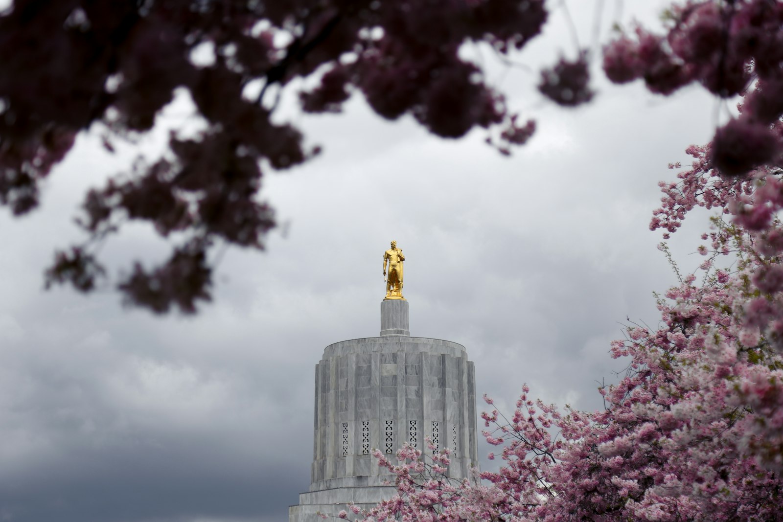 Top 5 Neighborhoods in Salem for 2026