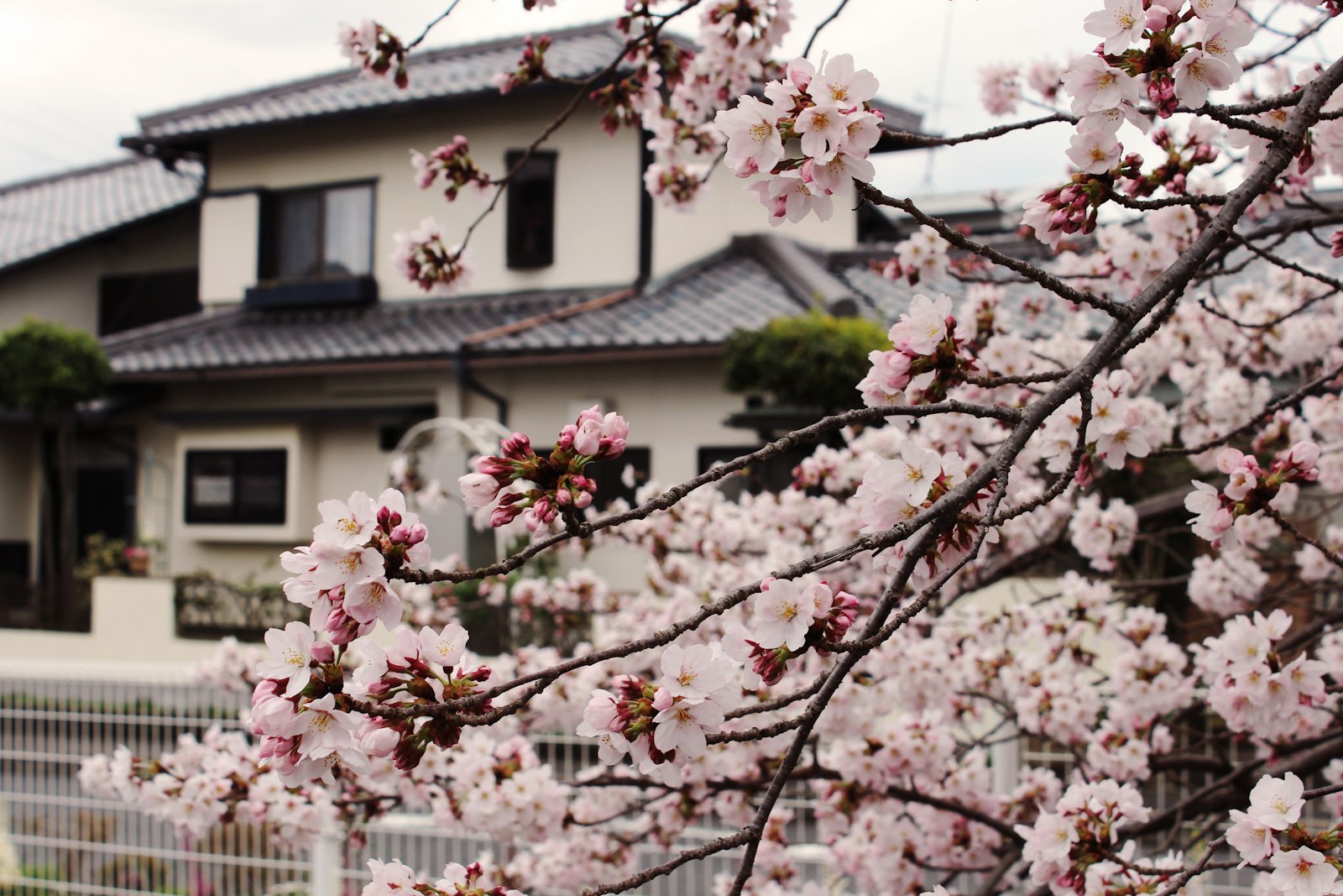 Selling Your Home This Spring in Oregon: A Step-by-Step Timeline