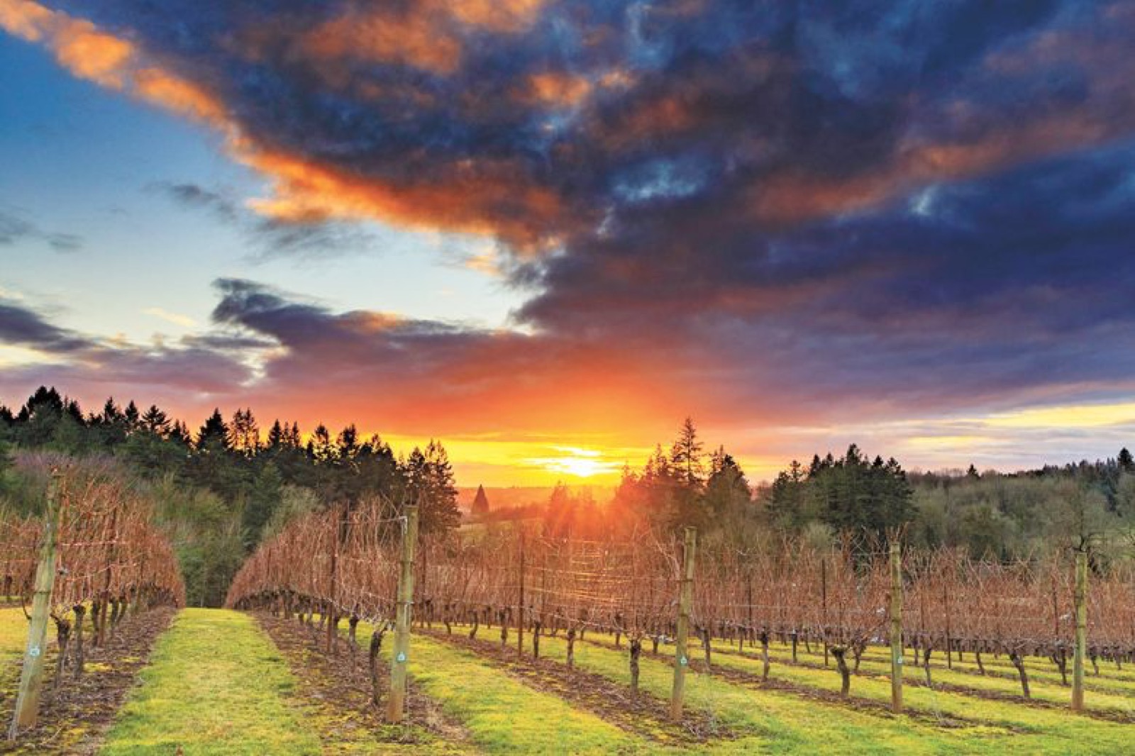 Spring 2026 Willamette Valley Market Snapshot: What Buyers and Sellers Need to Know