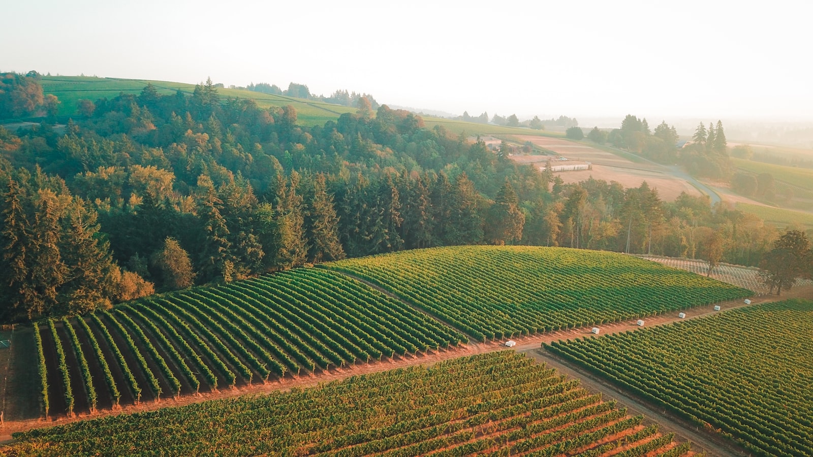 Your Complete Guide to Relocating to the Willamette Valley